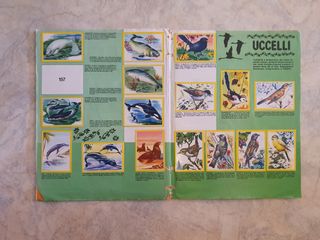 Album figurine "Animali flash" 1980