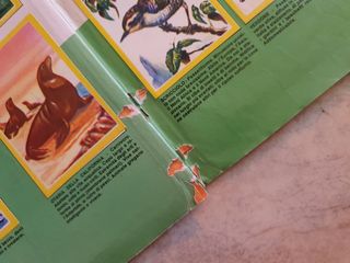 Album figurine "Animali flash" 1980