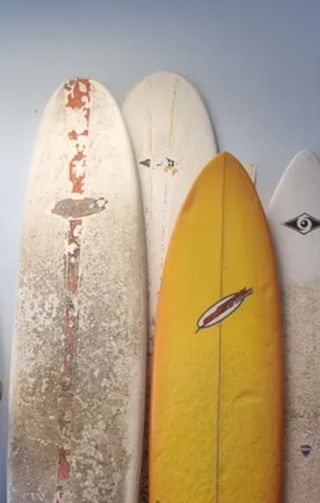 Tablas de surf evolutivas