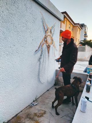 Pintor deco. Grafitero, graffiti, mural