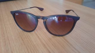 Ray Ban Erika Classic