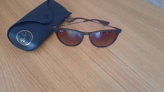 Ray Ban Erika Classic