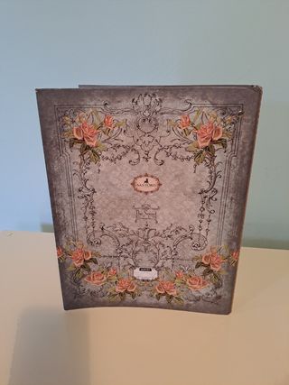 Carpeta Anillas Santoro