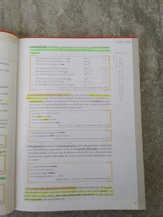 Zanichelli un libro sogna