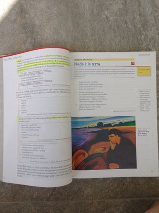 Zanichelli un libro sogna