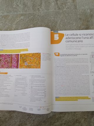 Le scienze naturali