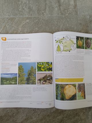 Le scienze naturali