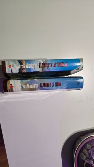 LIBRO EL MIRLO Y LA MAGIA