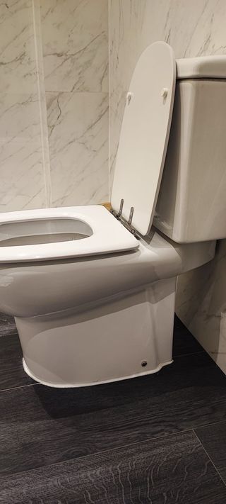 Inodoro o bide