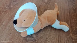 Veterinario de juguete