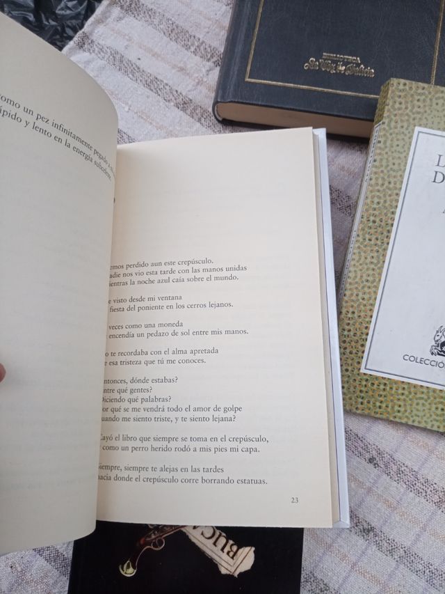 Libros Leonardo da Vinci Shakespeare Ner