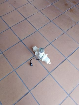 Motores limpiafondos 