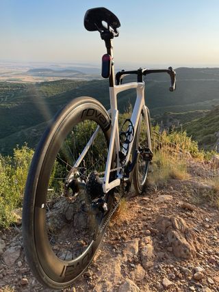Specialized Tarmac Sl7 Blanco T 56