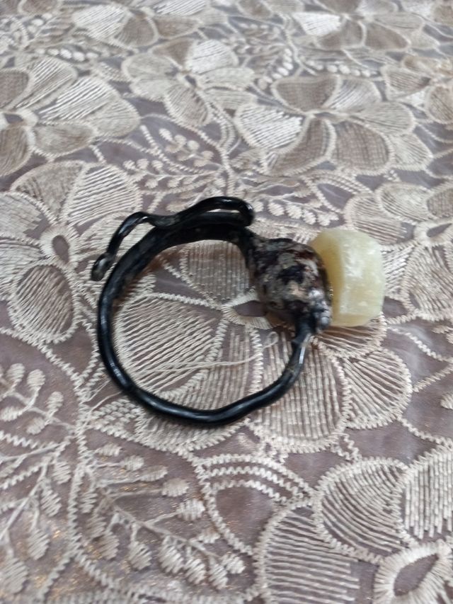 Pianta di corallo nero originale