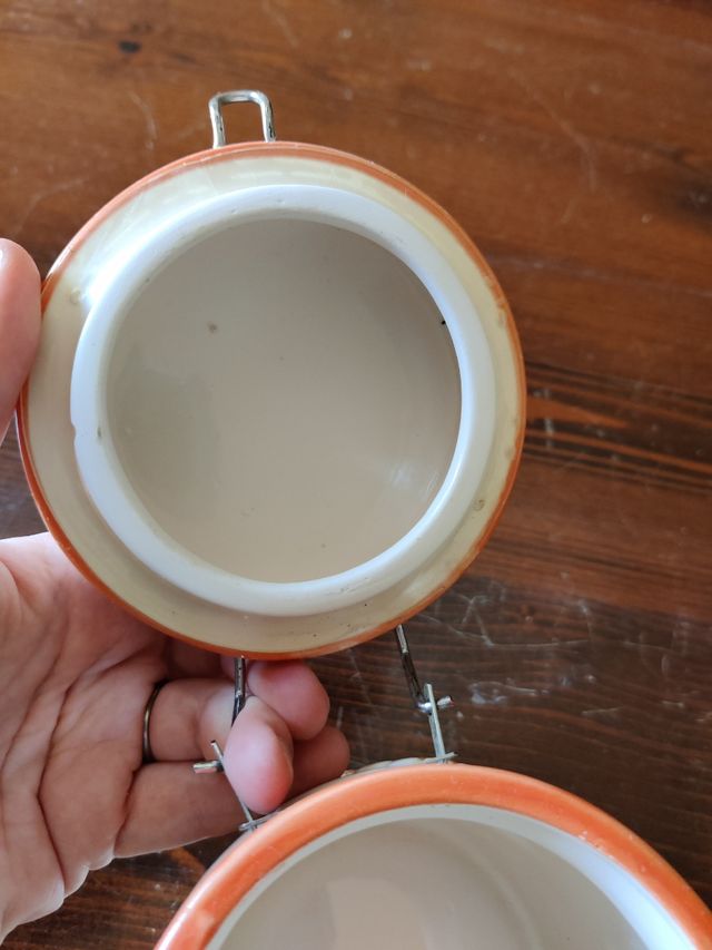 Albarella con margherite in terracotta