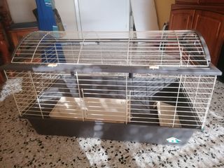 Super jaula para conejos. Entrega en Jerez 