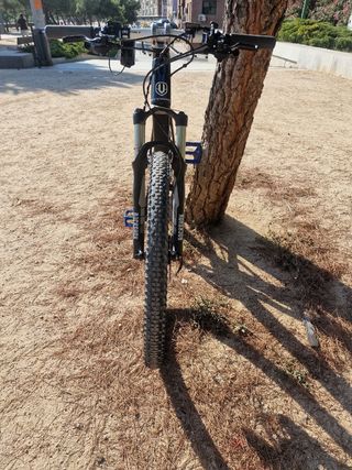 Mondrake podium carbono
