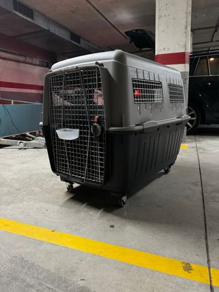 Jaula para transporte de perros vivos 
