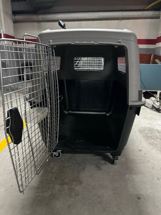 Jaula para transporte de perros vivos 
