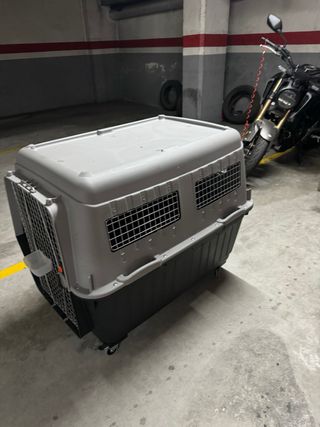Jaula para transporte de perros vivos 