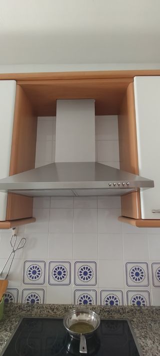 Campana extractora