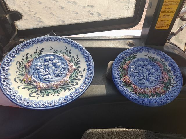 Platos decorativos (2)