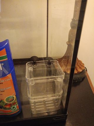 Pecera 58 litros y lote regalo