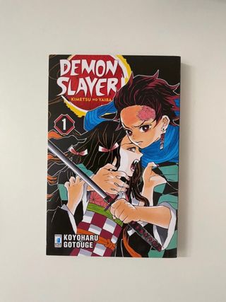 Demon Slayer vol.1