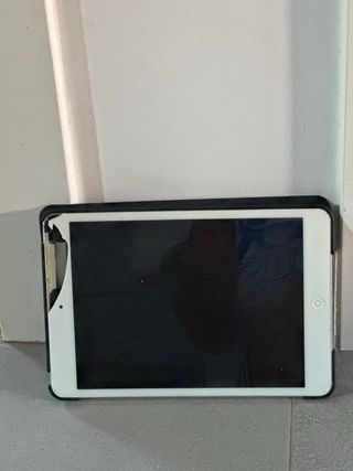 Ipad mini 1a generacion
