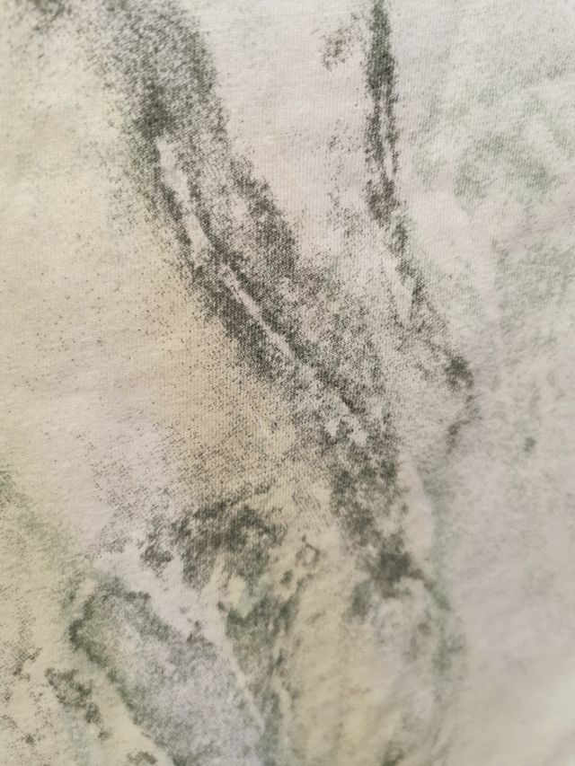 Camiseta estampada manga corta, t.S