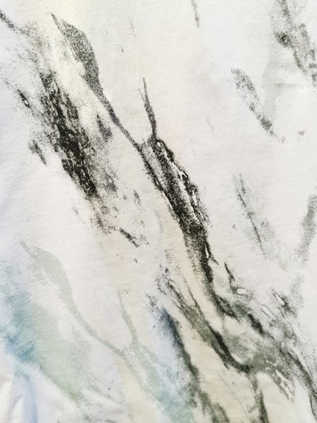 Camiseta estampada manga corta, t.S