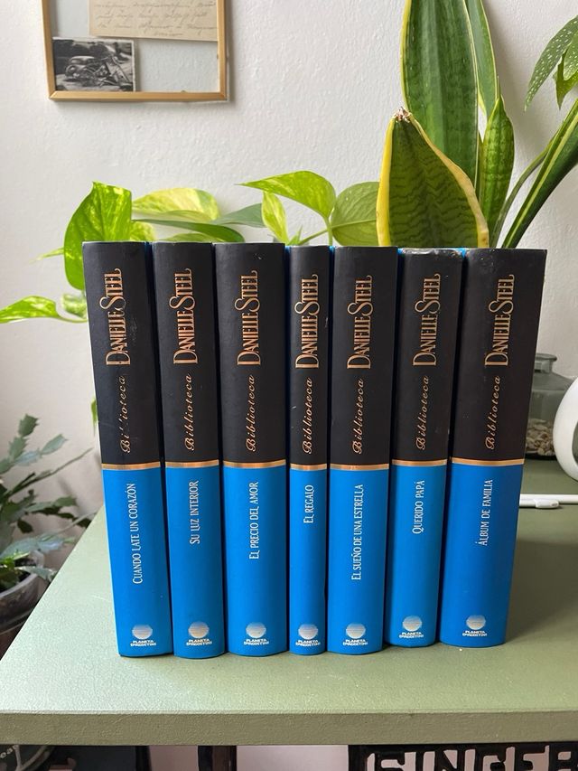 Libros Danielle Steel