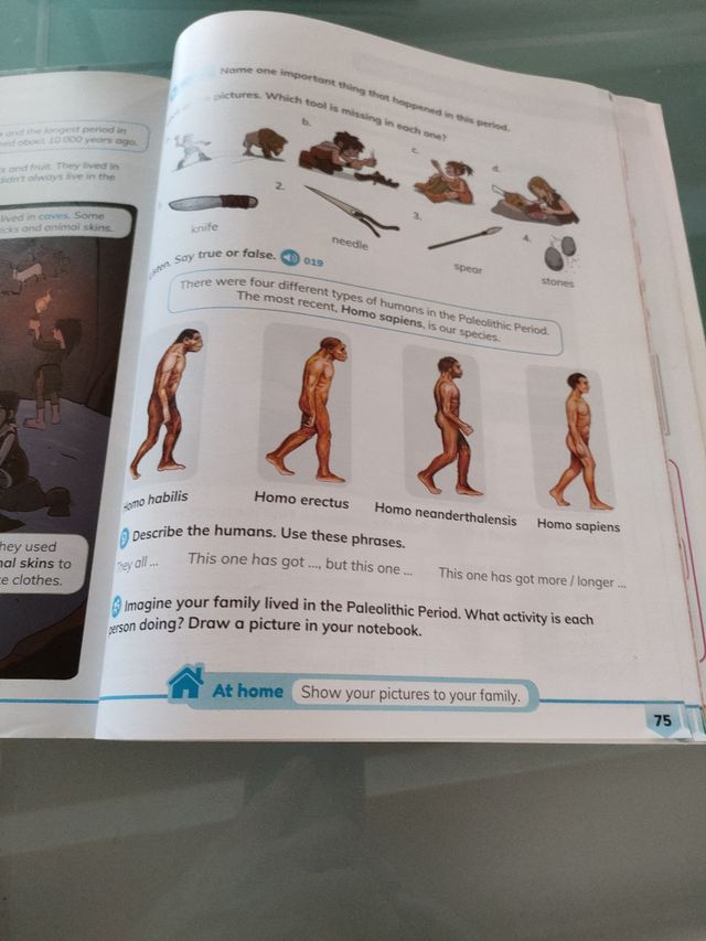 Libro de texto Social sciences 4 prim