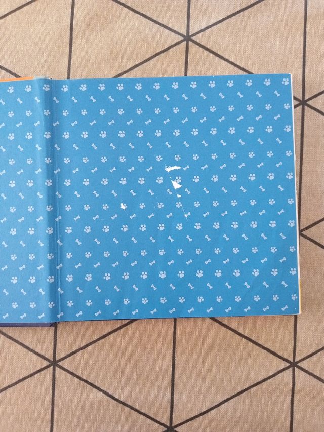 Libro Patrulla Canina