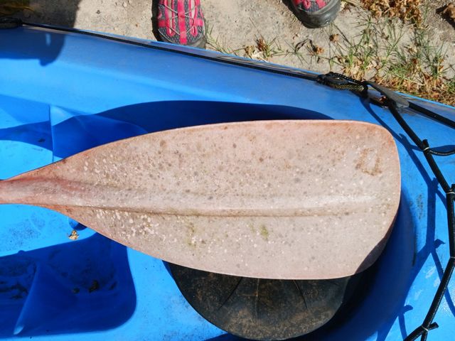 Kayak bic de plaza y media, casi nuevo