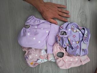 Pannolini cane lavabili