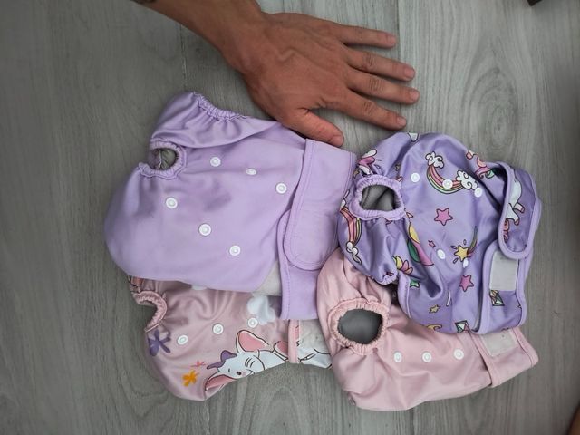 Pannolini cane lavabili