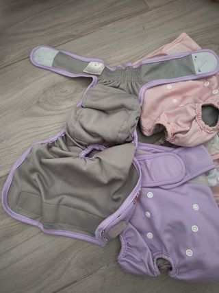 Pannolini cane lavabili