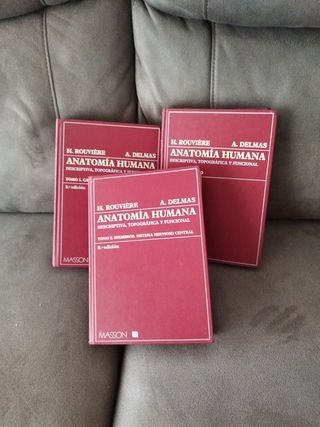 Libro Anatomía Humana. H. Rouvière
