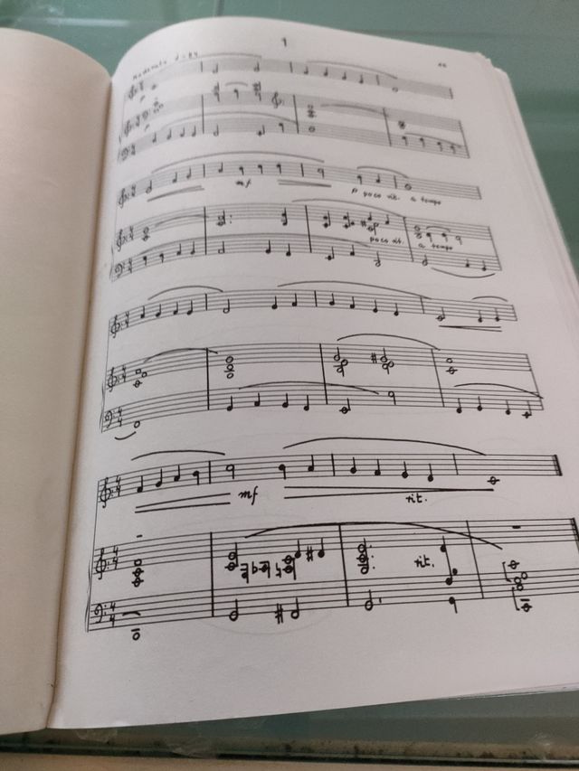 Libro de iniciación musical