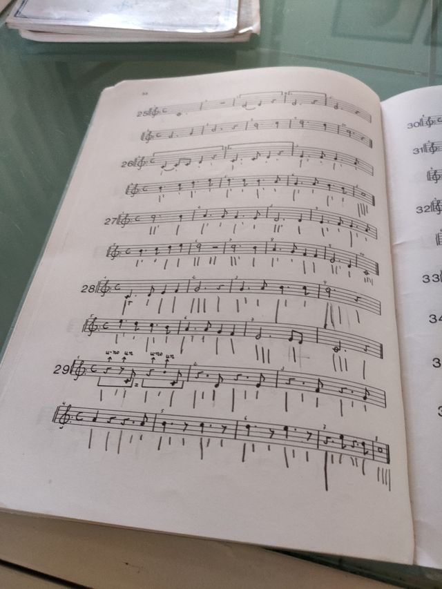 Libro de iniciación musical
