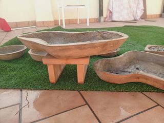 Macetas para bonsai