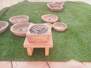 Macetas para bonsai