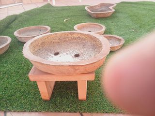 Macetas para bonsai