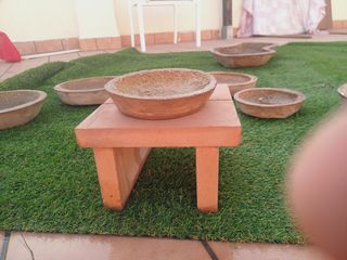 Macetas para bonsai