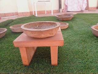 Macetas para bonsai