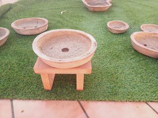 Macetas para bonsai