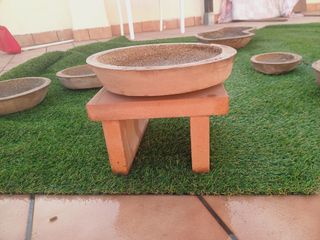 Macetas para bonsai