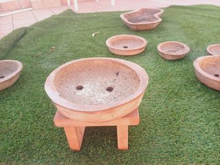 Macetas para bonsai
