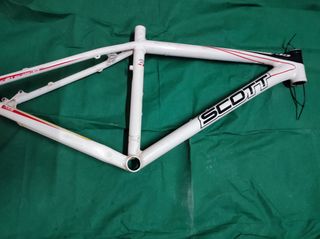 Scott scale 35